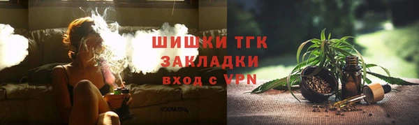 apvp Алексин