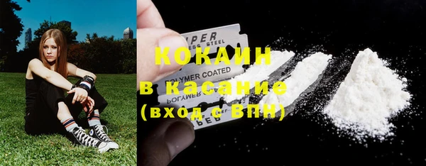 apvp Алексин